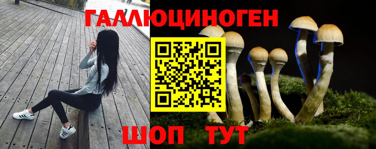 Псилоцибиновые грибы ЛСД Урюпинск
