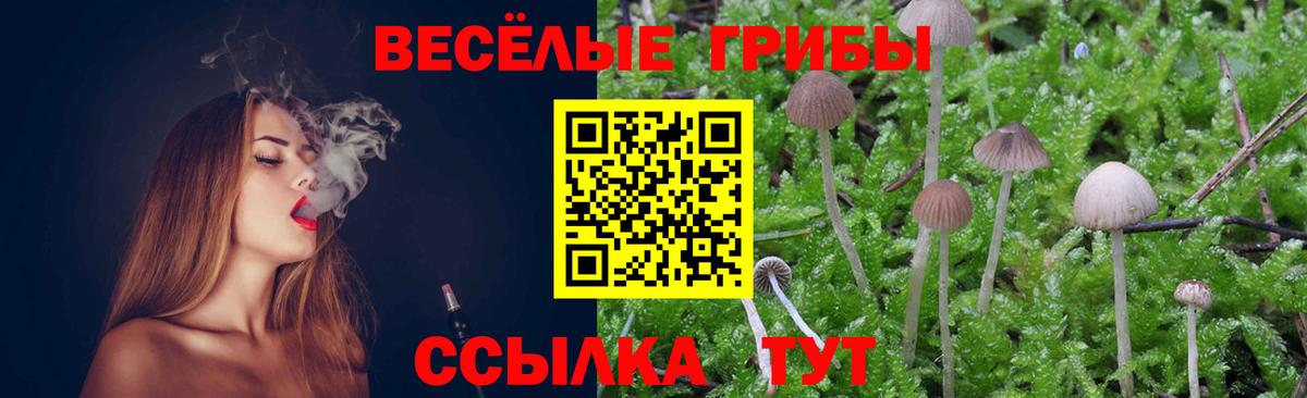 Галлюциногенные грибы Psilocybe  Галлюциногенные грибы Psilocybe  Вход с VPN  Урюпинск 